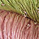 beaded silk yarn