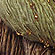 beaded silk