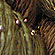 beaded silk