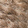 blue sky alpacas skinny cotton