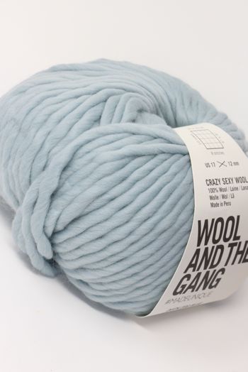 Wool & The Gang Crazy Sexy Wool in Duck Egg Blue