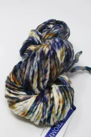 Malabrigo Rasta Yarn in Trompo (191)