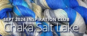 Artyarns Inspiration Club CHAKA SALT LAKE