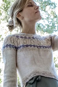 Artyarns Sweaters