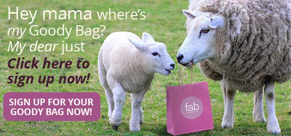 NY sheep and wool festival fab yarn special events